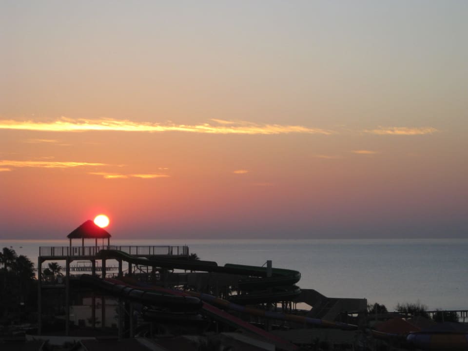 Sonnenaufgang  Papillon Belvil