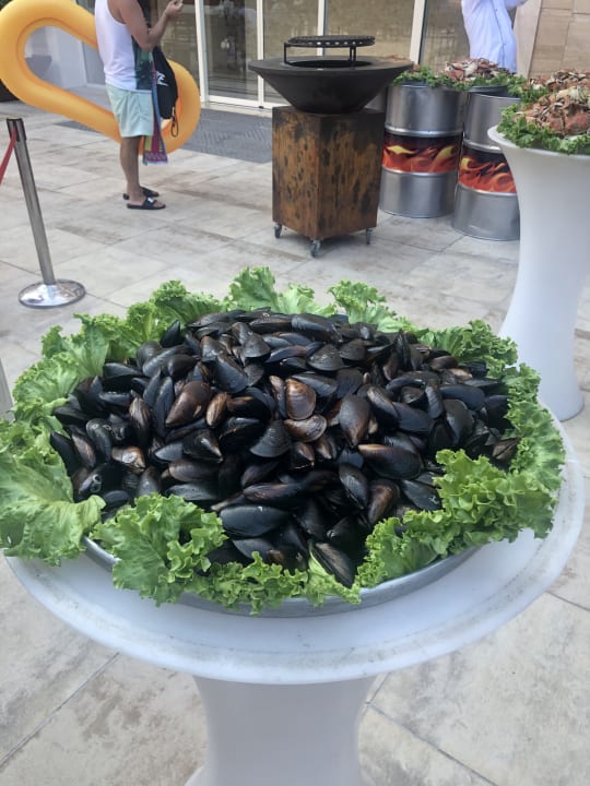 Gastro Crystal De Luxe Comfort Collection