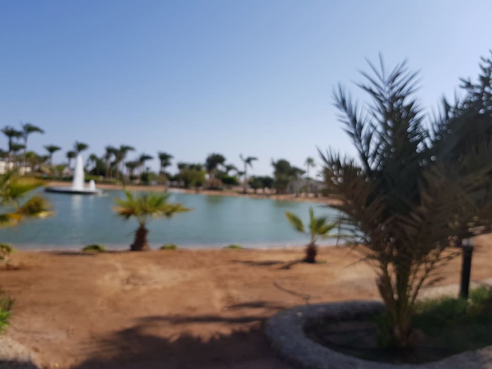 Ausblick Pharaoh Azur Resort