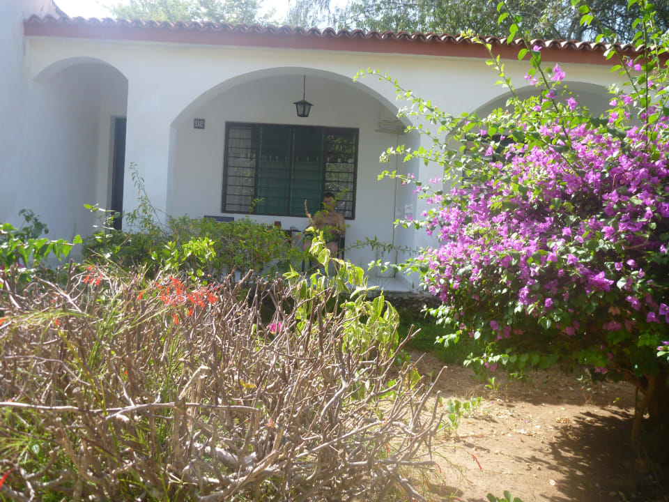 Natur pur Hotel Diani Sea Lodge