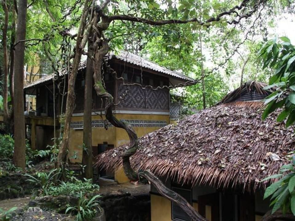 Symbiose aus Natur und Hotel Moracea by Khao Lak Resort