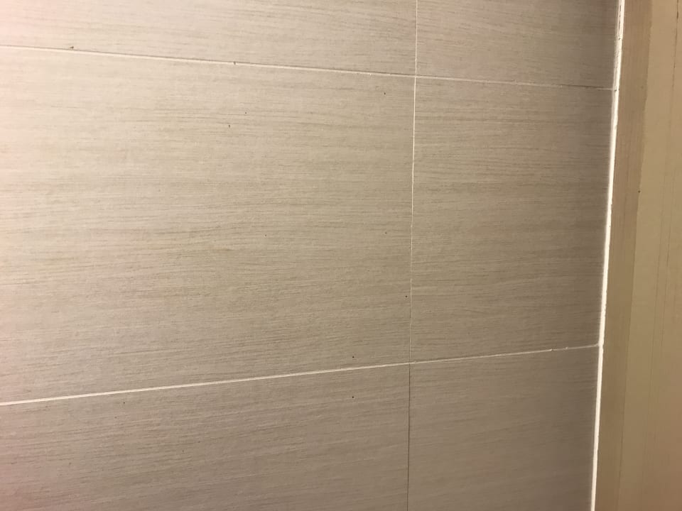 Zimmer blau punta reina