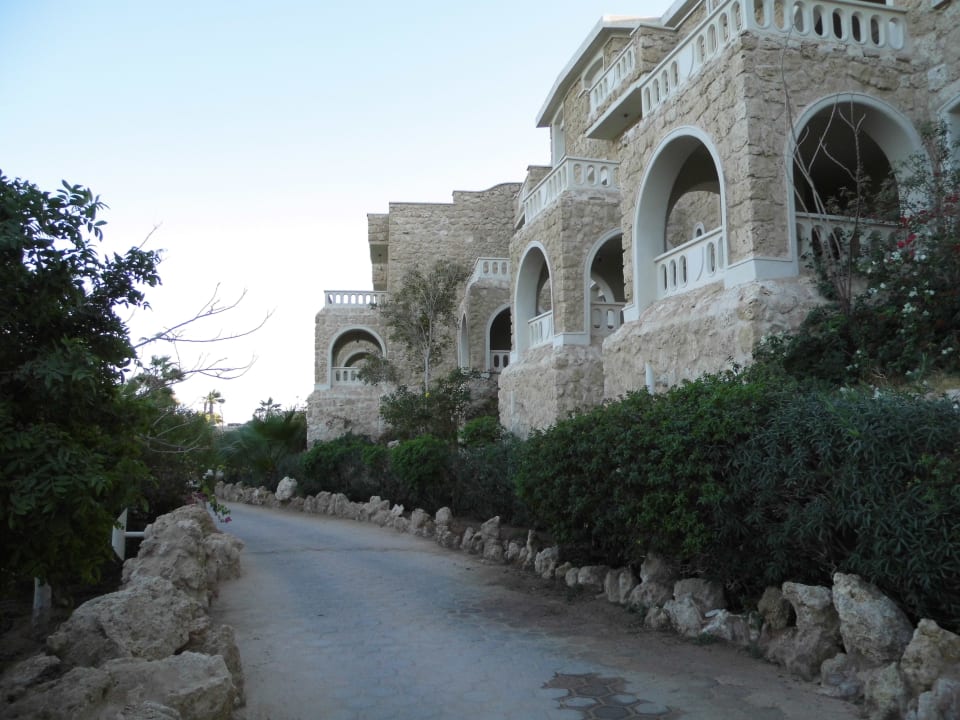 Zimmer Pickalbatros Citadel Resort