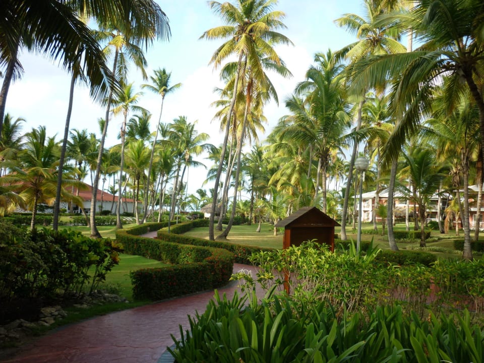 Weg zum Strand Grand Palladium Select Bávaro Resort & Spa