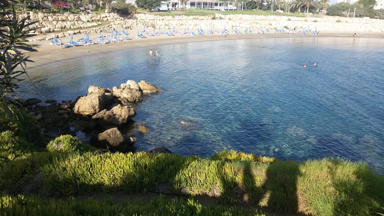 Tolle Badebucht Crystal Springs Beach Hotel