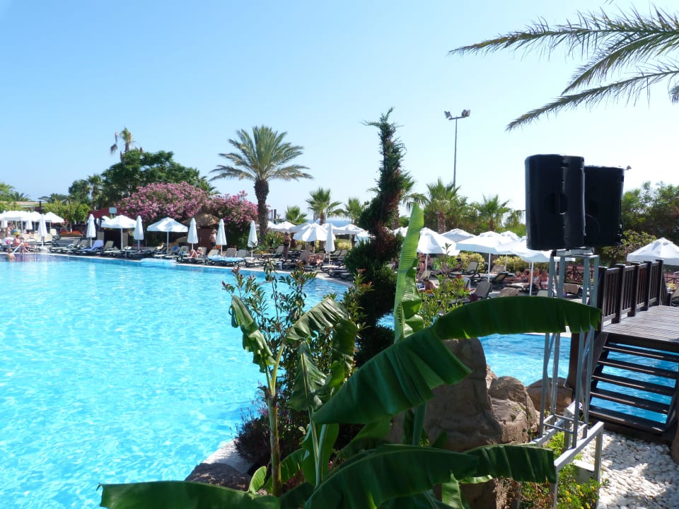 Active Pool Alba Resort Hotel