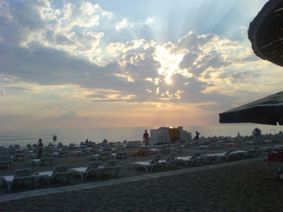 auch mal was Schönes Alaaddin Beach - Adults only