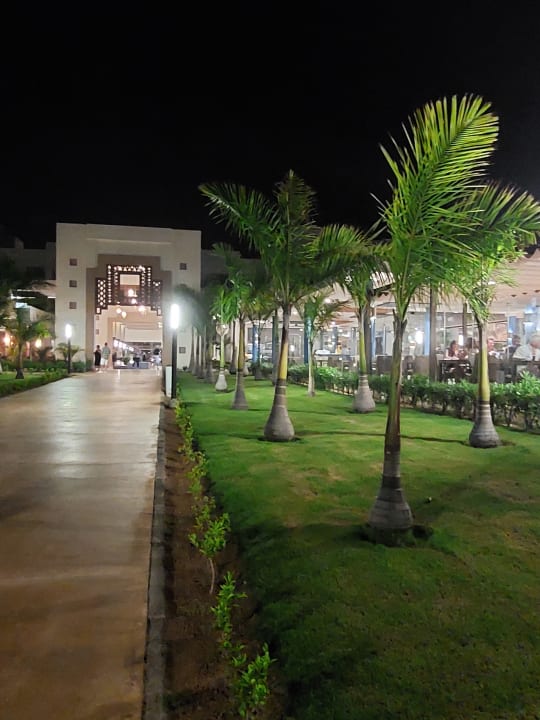 Gartenanlage Hotel Riu Palace Boavista