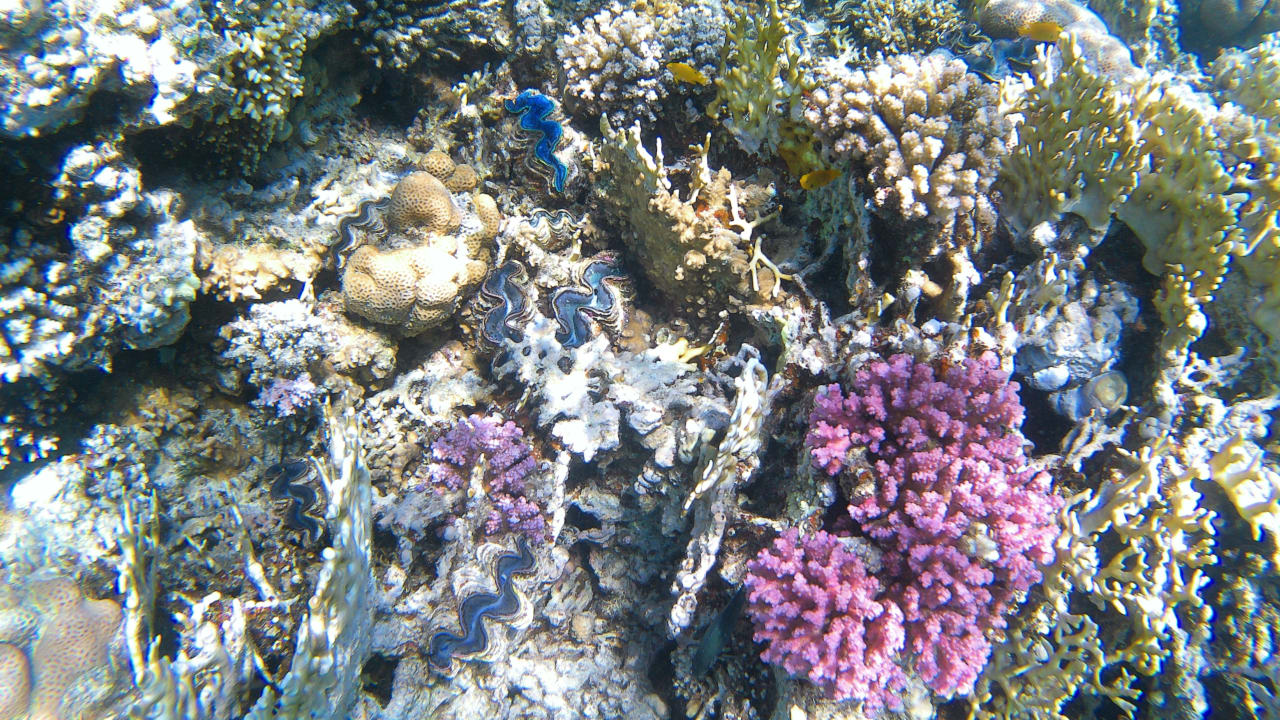 Sport & Freizeit Makadi Spa - Adults only