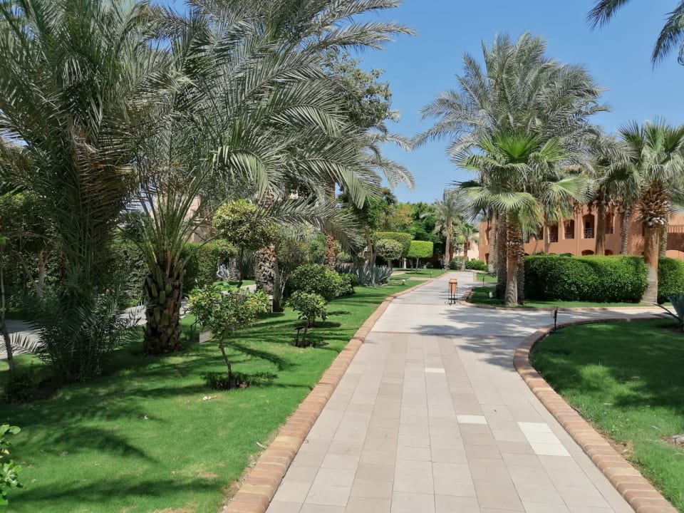 Gartenanlage Jaz Makadi Oasis Resort