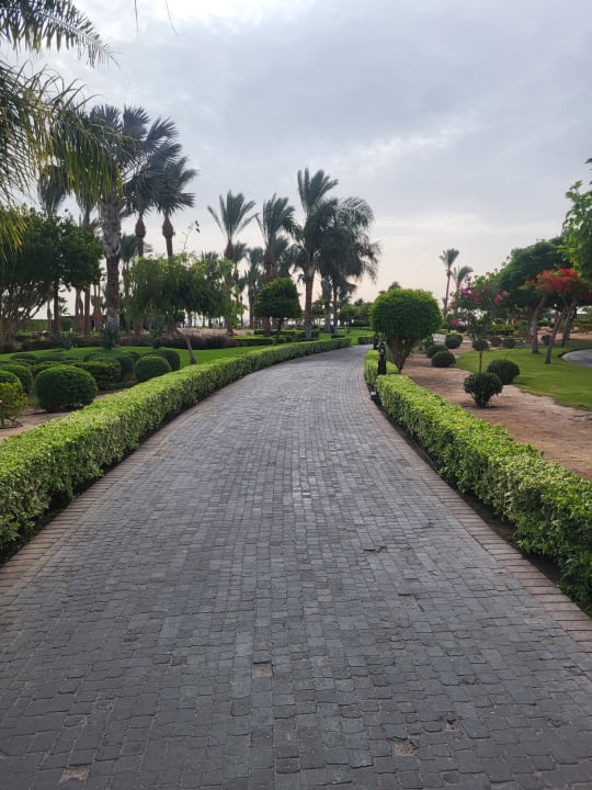 Gartenanlage Steigenberger ALDAU Beach Hotel