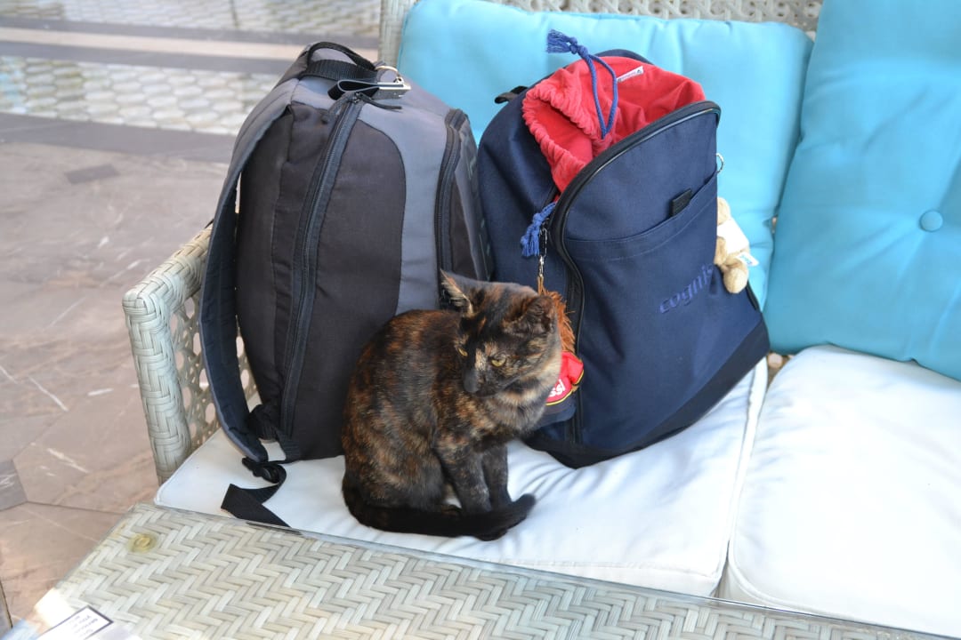 Da möchte Jemand mit !! Hane Family Resort