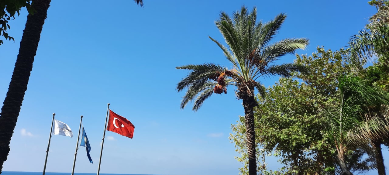 Ausblick Side Star Elegance