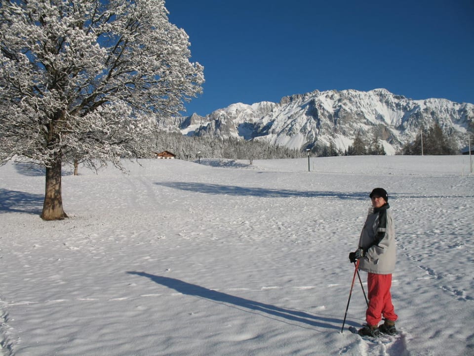 Panoramablick Premium Wanderhotel Steirerhof