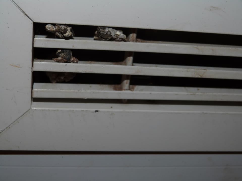 Zimmer Imperial Shams Abu Soma