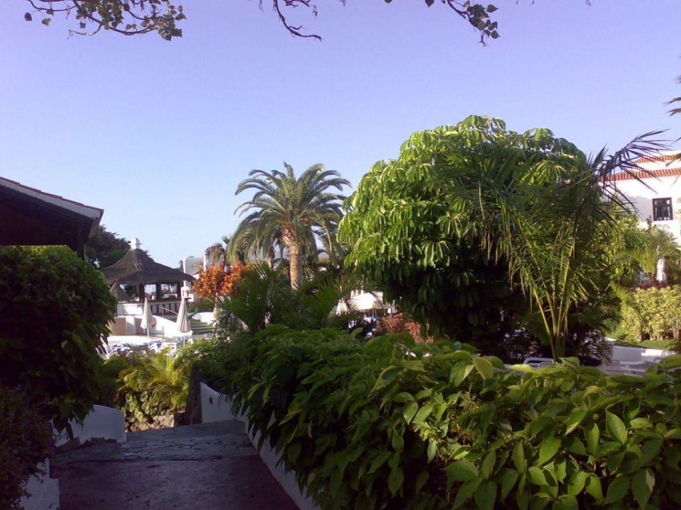 Hotelanlage - Blick Richtung Hauptpool Hotel Jardin Tecina