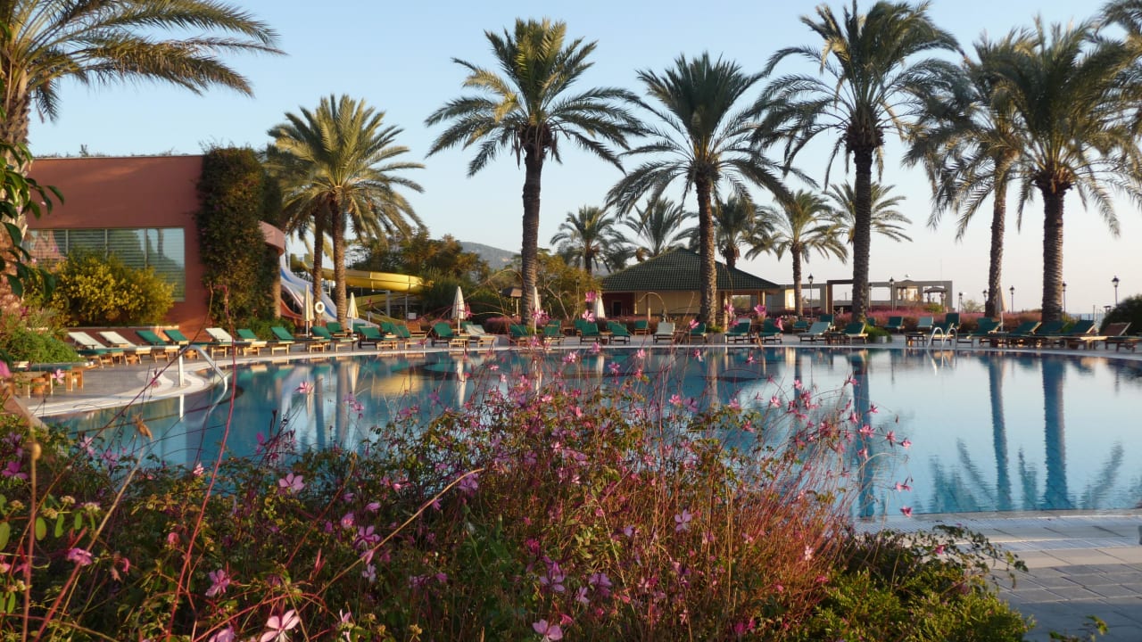 Morgens am Pool The Norm Oriental