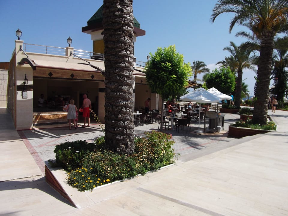 Strandbar Saphir Resort & Spa