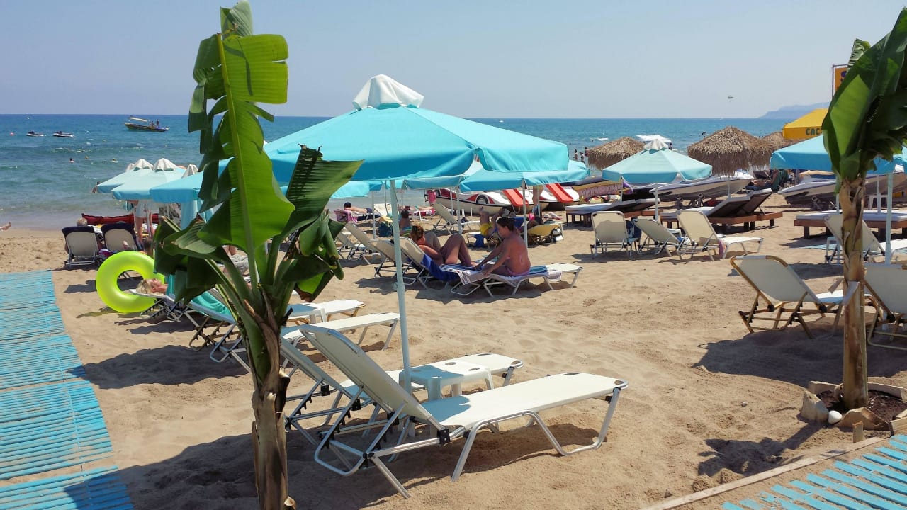 Strand ein Stück nach links Cactus Royal