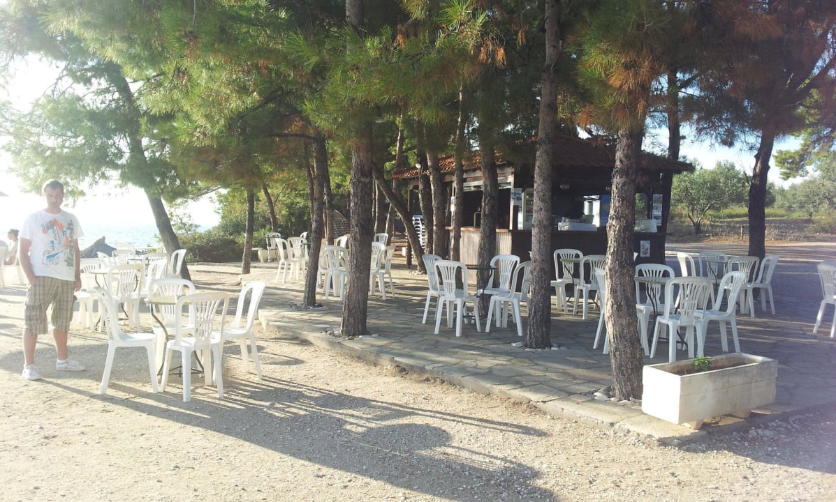 Strandbar Blue Dolphin Resort Hotel