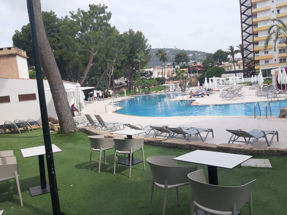 Pool BQ Belvedere Hotel