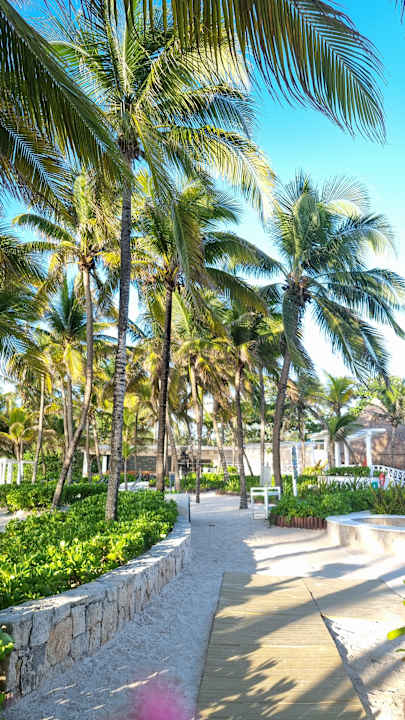 Außenansicht Catalonia Royal Tulum Beach & Spa Resort - Adults only