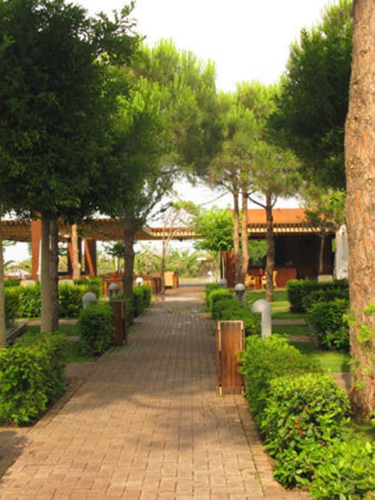 Вид на итальянский ресторан Gloria Serenity Resort