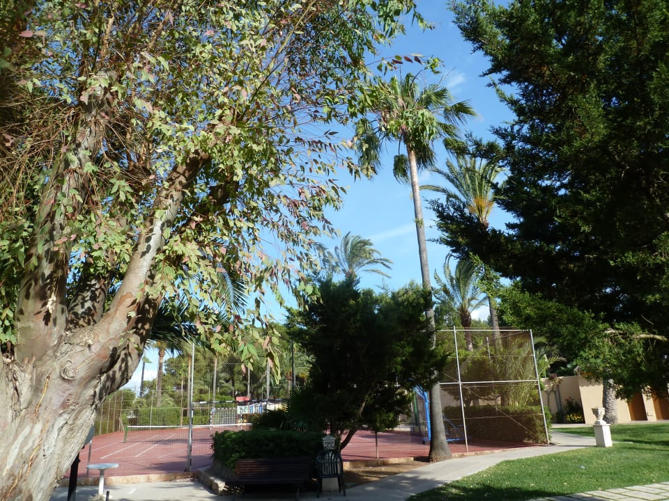 Sport & Freizeit Grupotel Cala Marsal Nature Hotel
