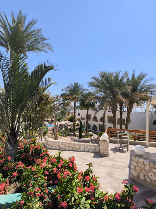 Außenansicht Pickalbatros Royal Grand Resort - Sharm El Sheikh