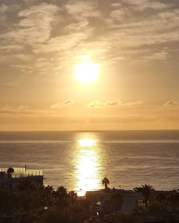 Ausblick Hotel Riu Palace Palmeras