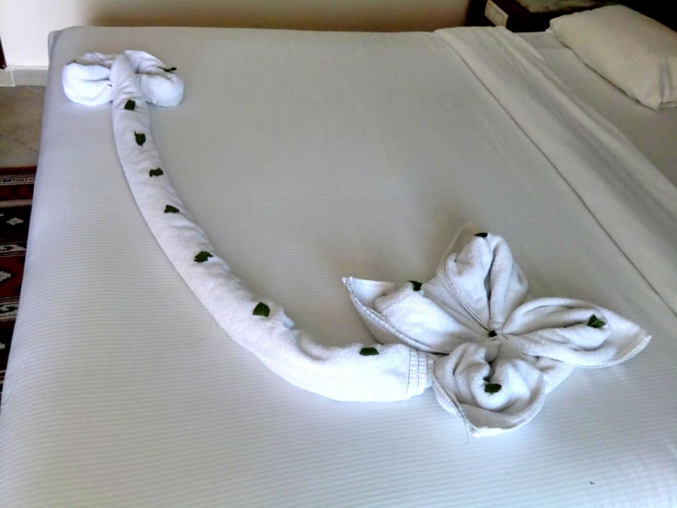 Handtuchdeko am Valentinstag Titanic Beach Spa & Aqua Park