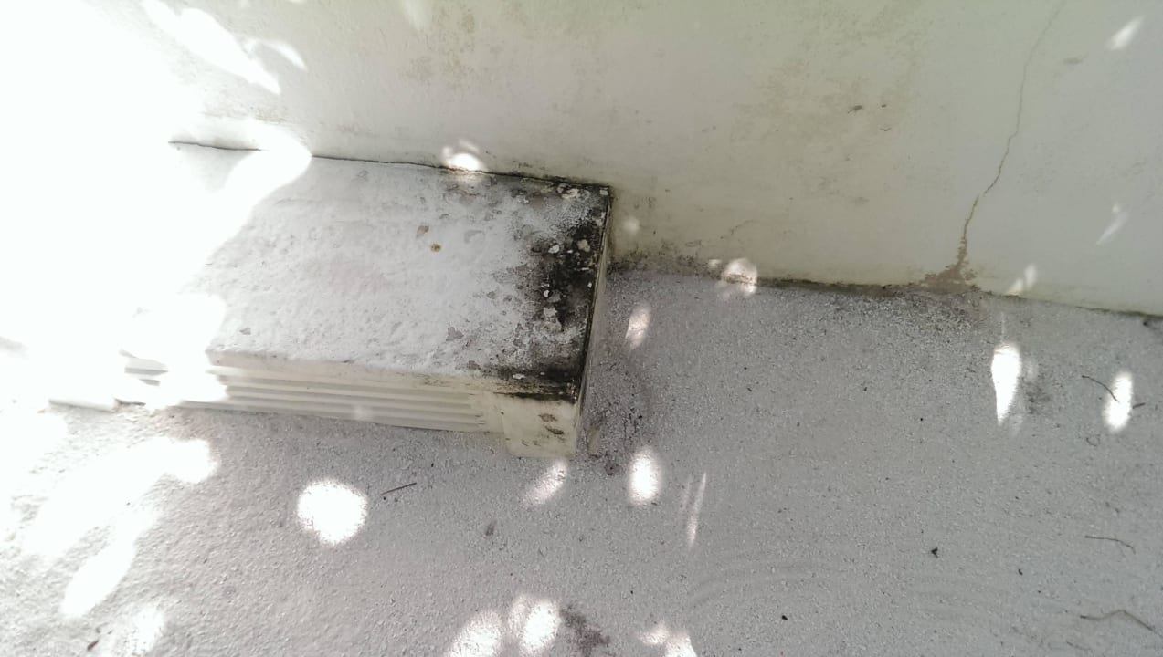 Schacht der Kakerlaken ananea Diamonds Athuruga