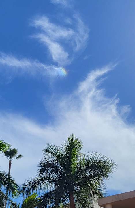 Außenansicht Club Hotel Drago Park