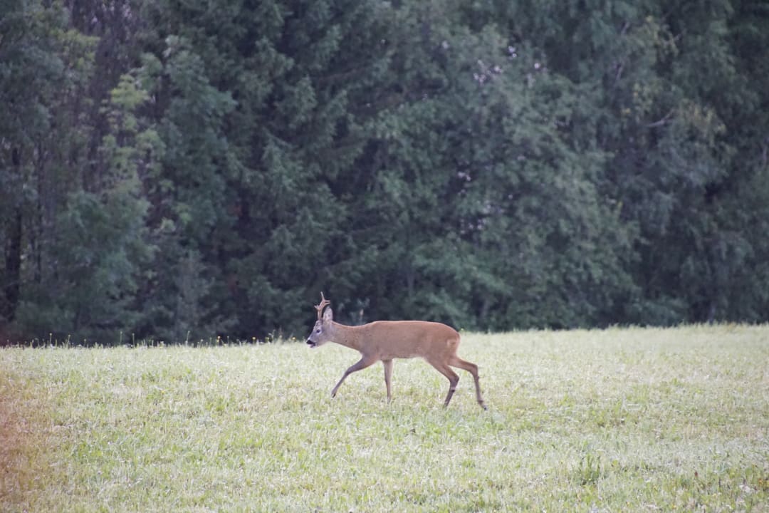 Ausblick Entschleunigungshof Huberbauer