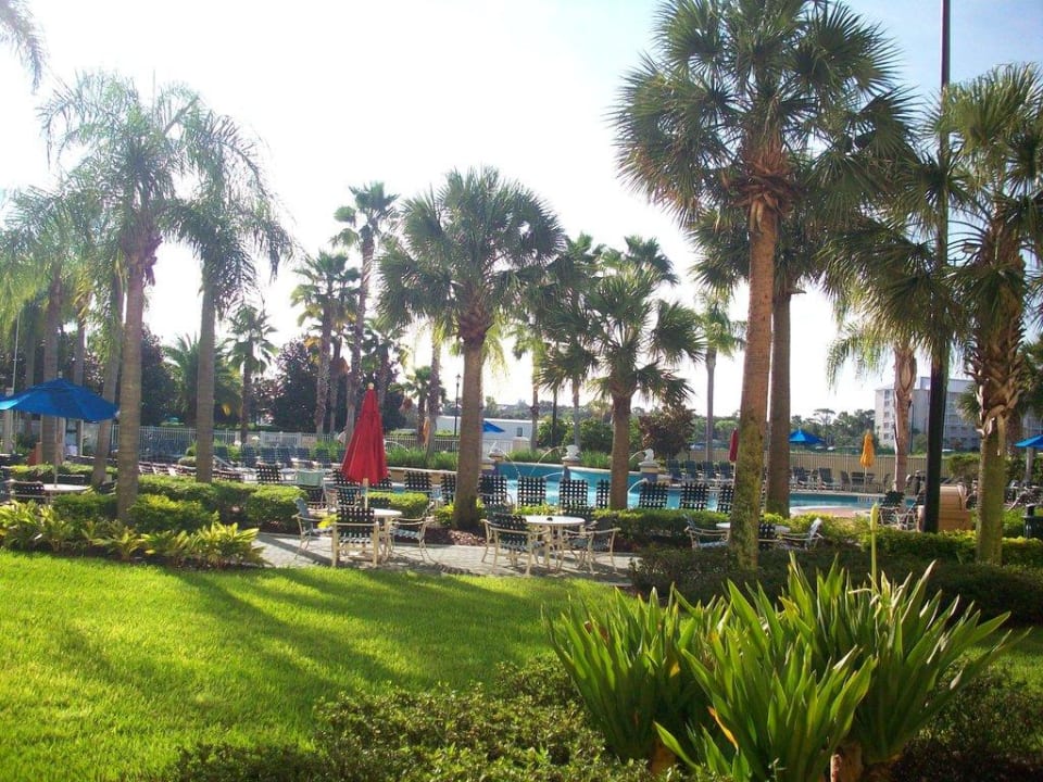 Pool und Gartenanlage Hotel Residence Inn Orlando by Marriott