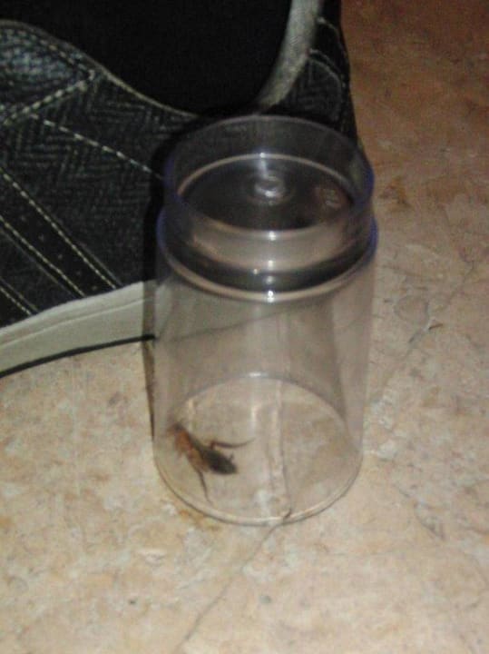 Für unsere kleinen Gäste Riviera Aqua Park Resort