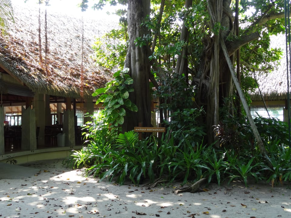 Haruge Kuramathi Maldives