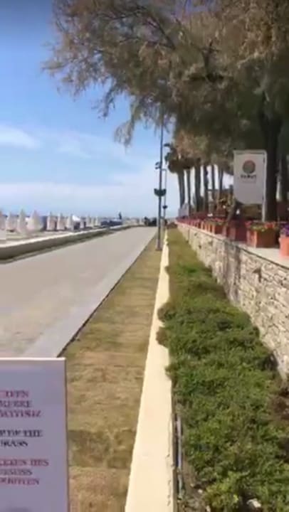 Sonstiges Arum Barut Collection
