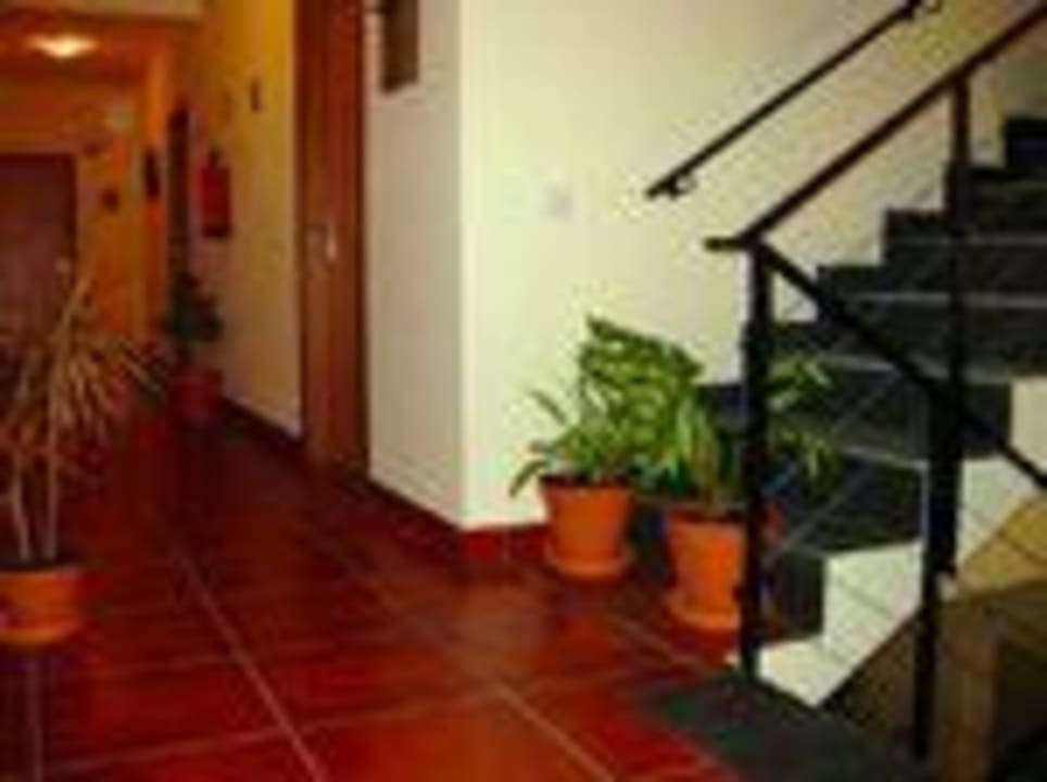 Hotel (other) Rural Lodging Os Manos