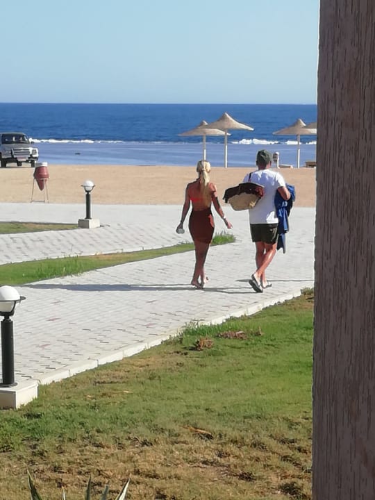 Strand Pickalbatros Sea World Resort - Marsa Alam