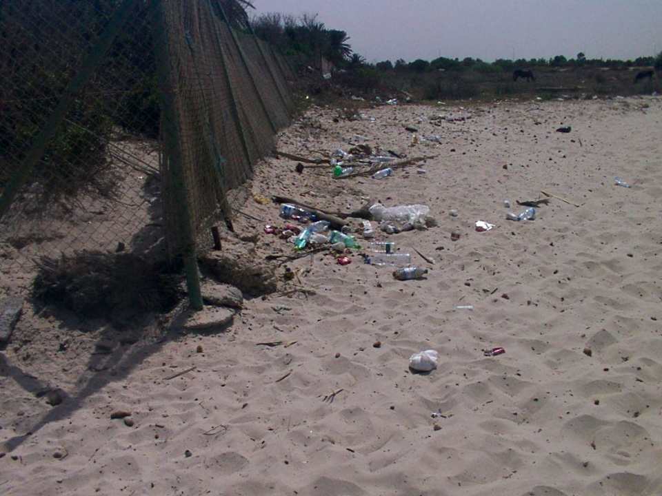 Blick direkt neben die Liege Eden Club