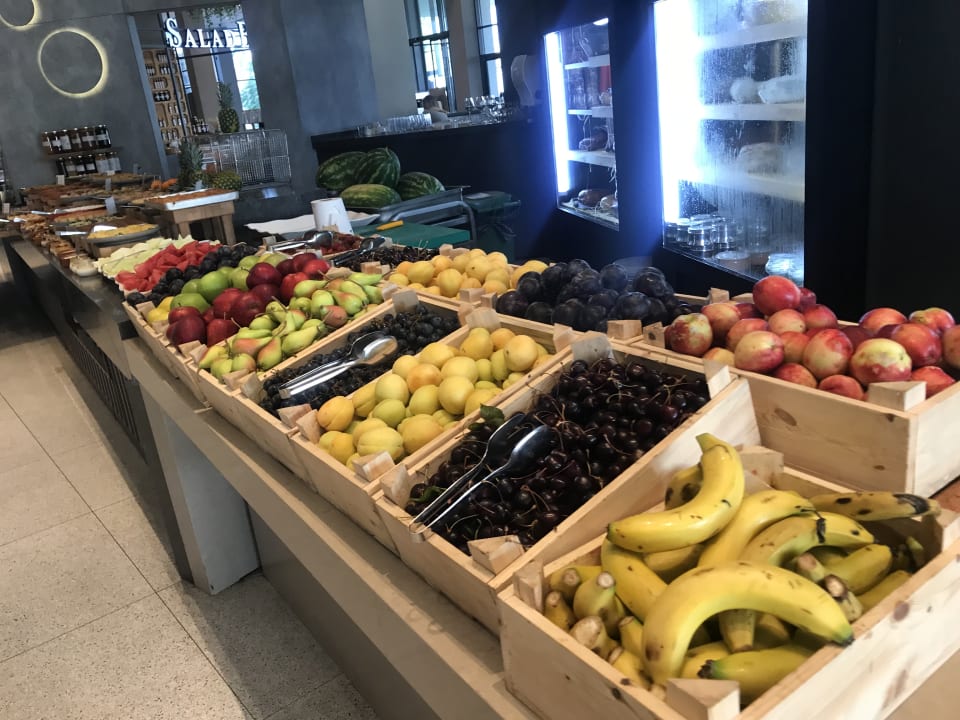 Gastro Paloma Finesse