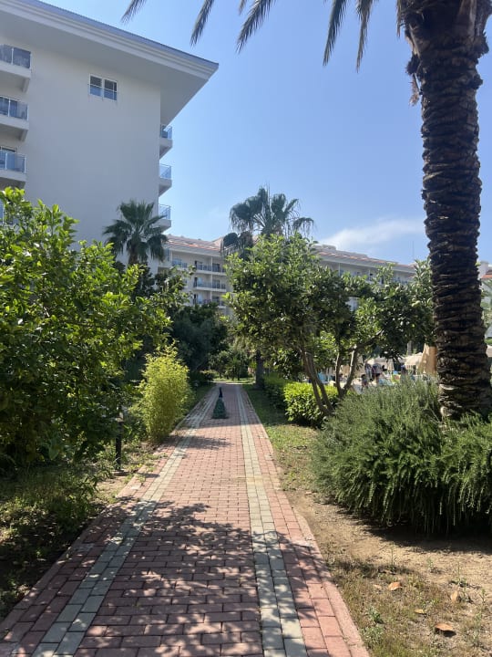 Gartenanlage Seaden Sea World Resort & Spa