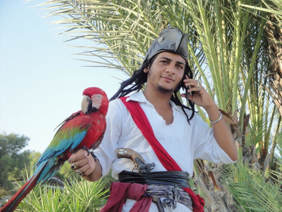 Pirat mit Handy und Papagei Pirate's Beach Club