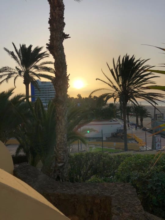 Gartenanlage Hotel Riu Palace Jandia