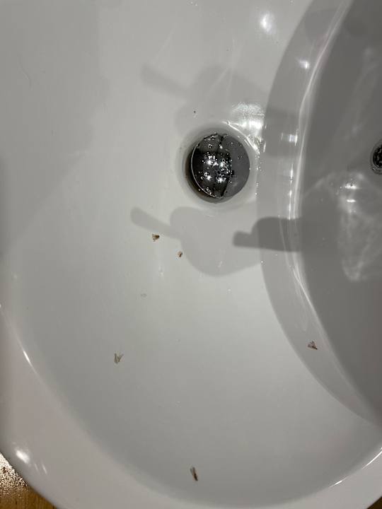 Zimmer Solana Beach Mauritius