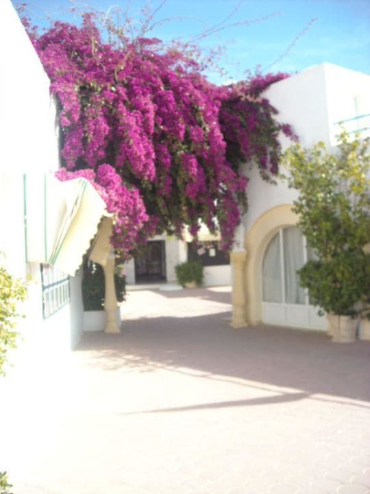 Spring has started Royal Karthago Djerba