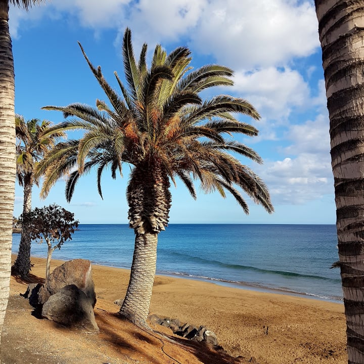 Strand Bungalows & Appartements Playamar