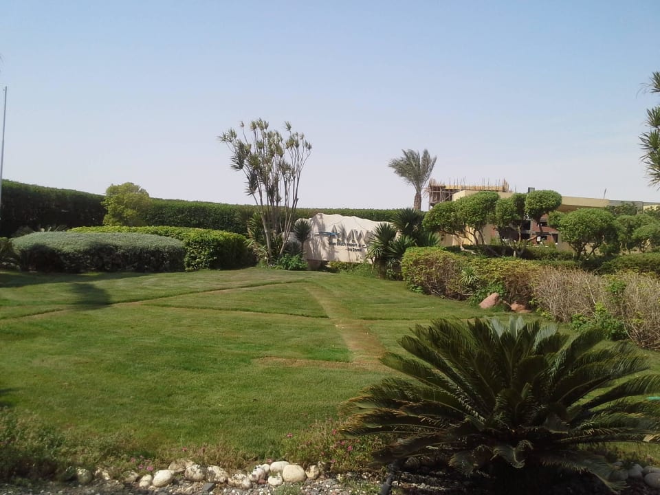 Много красоты Amwaj Beach Club Abu Soma Resort