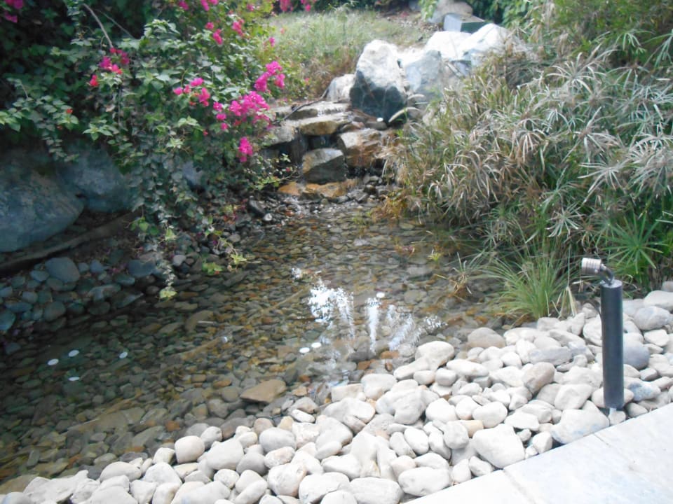 Teich Hotel Le Meridien Al Aqah Beach Resort